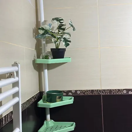Grigorescu Apartament- Near Parcul & Somes Riverside *