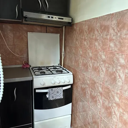 Grigorescu Apartament- Near Parcul & Somes Riverside