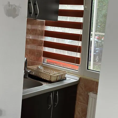 Grigorescu Apartament- Near Parcul & Somes Riverside * Cluj-Napoca