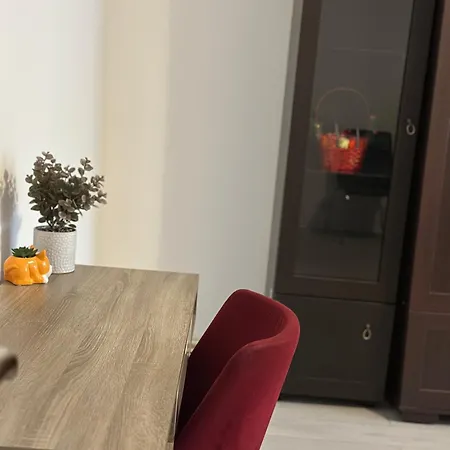 Grigorescu Apartament- Near Parcul & Somes Riverside Cluj-Napoca