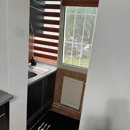 Grigorescu Apartament- Near Parcul & Somes Riverside Appartement
