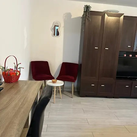 Grigorescu Apartament- Near Parcul & Somes Riverside *