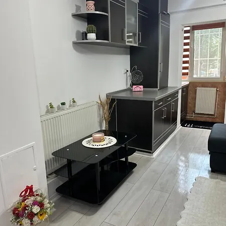 Grigorescu Apartament- Near Parcul & Somes Riverside * Cluj-Napoca
